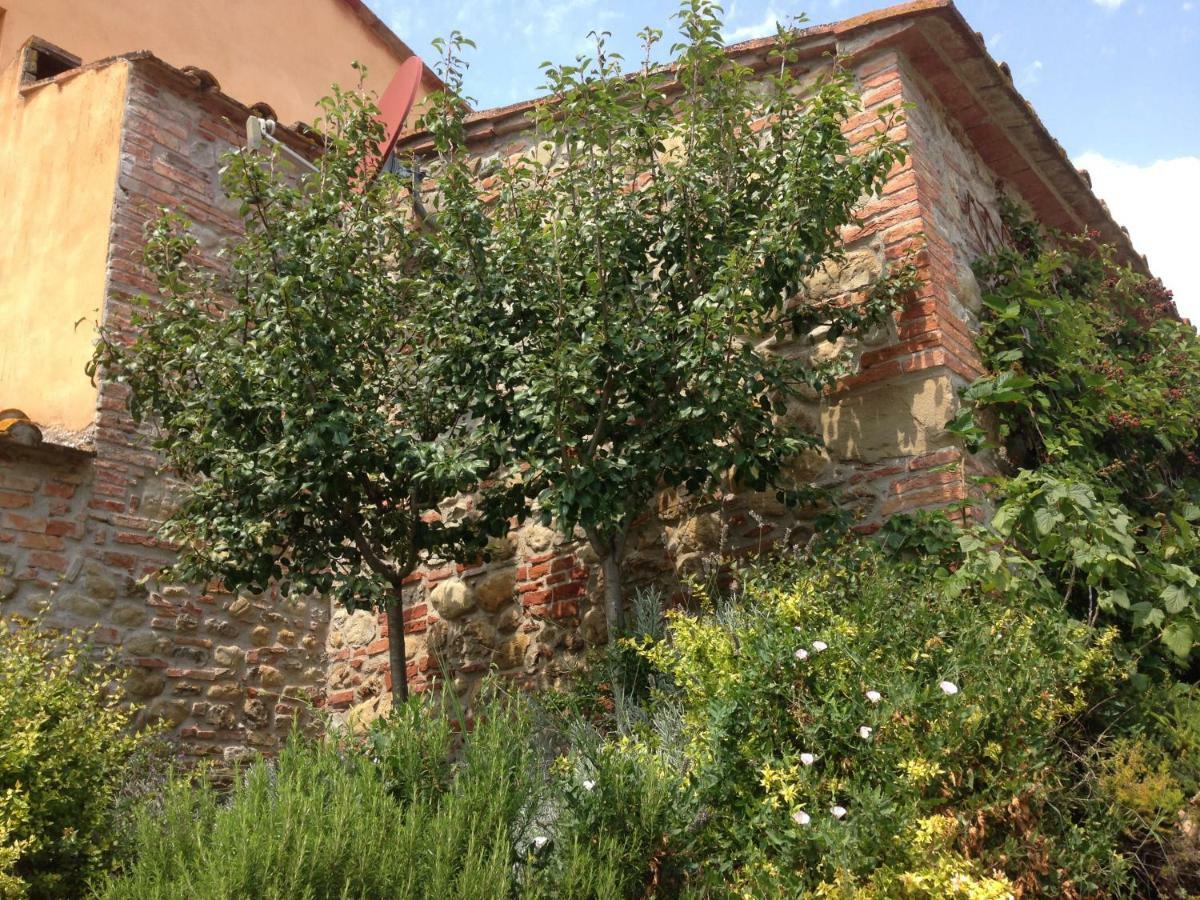 Agriturismo Pieve De Pitti Terricciola Exteriör bild