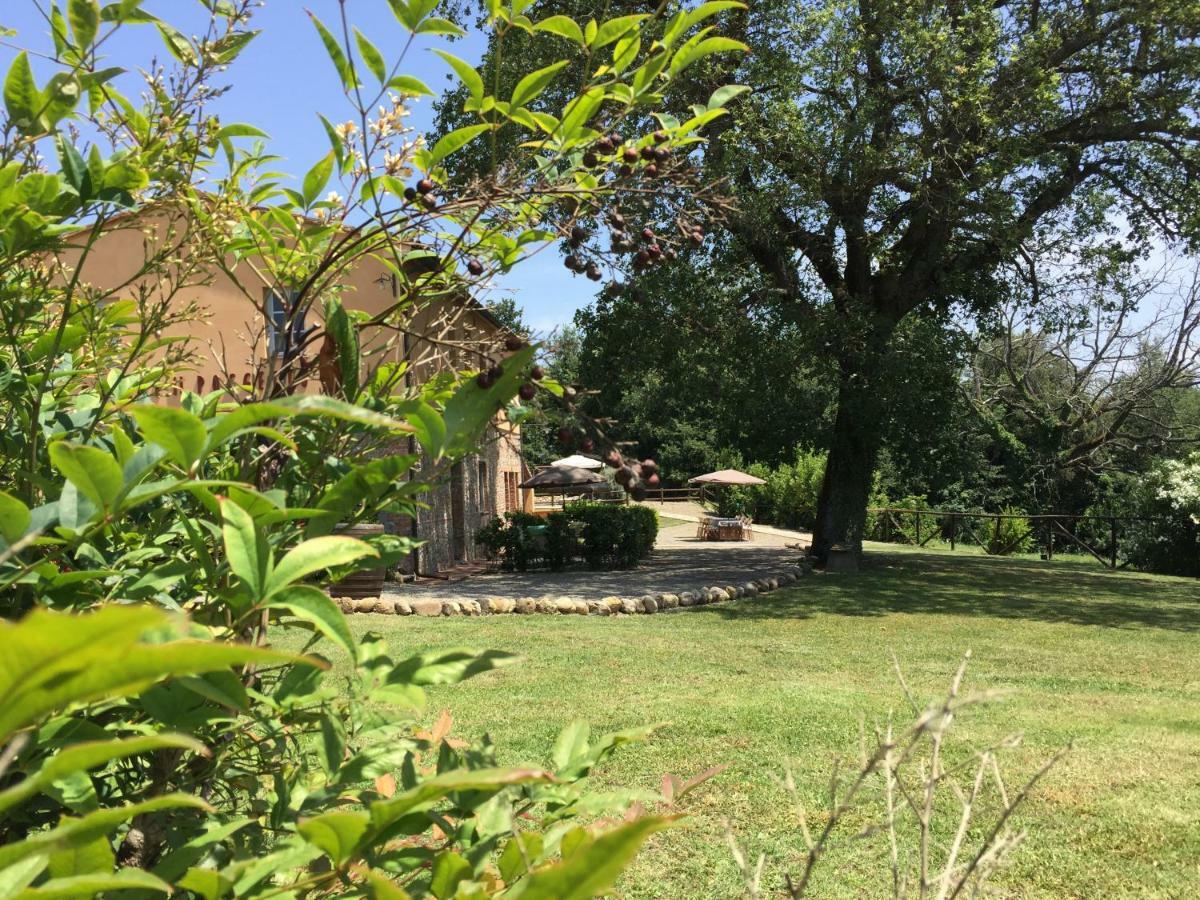 Agriturismo Pieve De Pitti Terricciola Exteriör bild