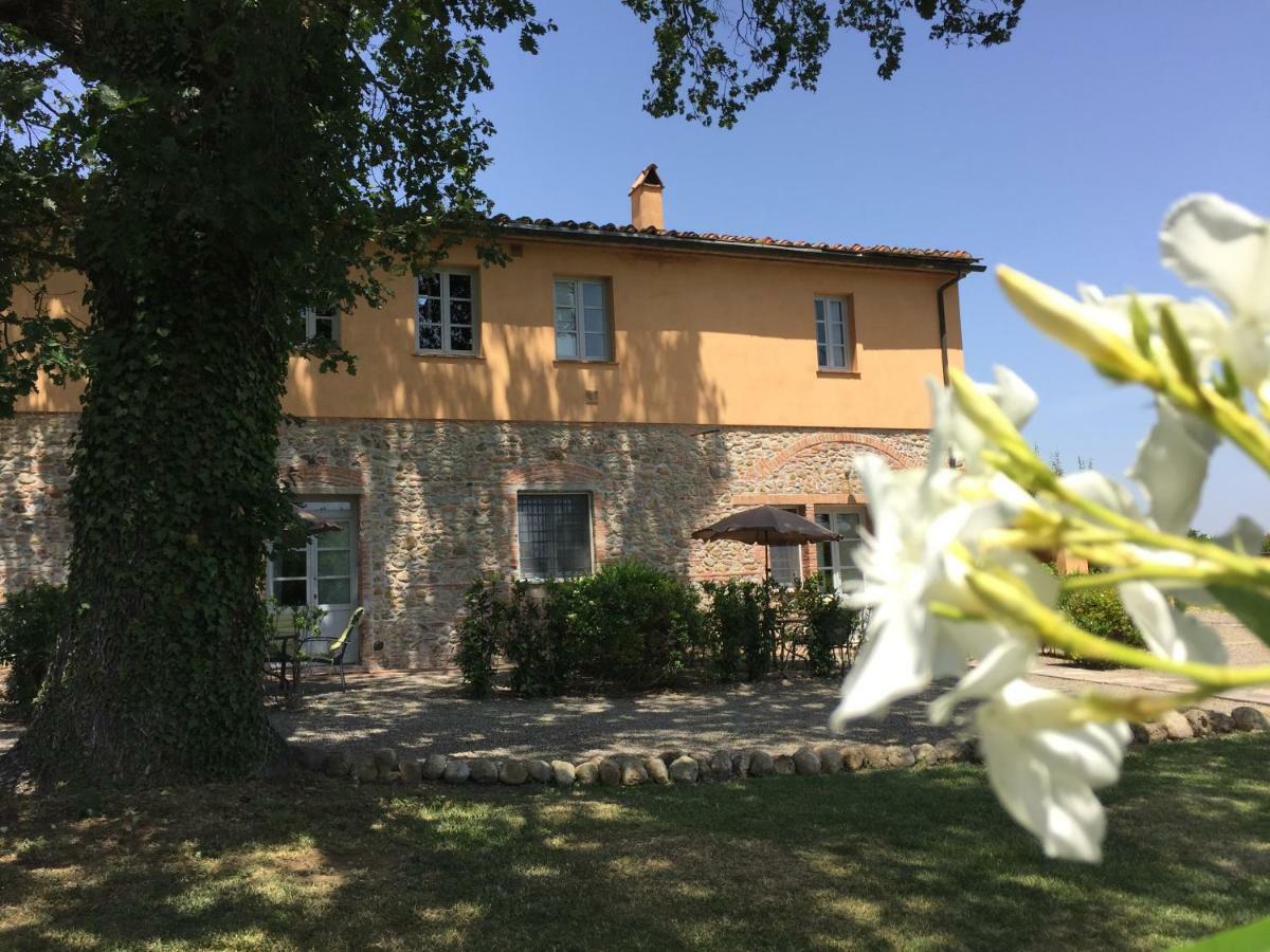 Agriturismo Pieve De Pitti Terricciola Exteriör bild