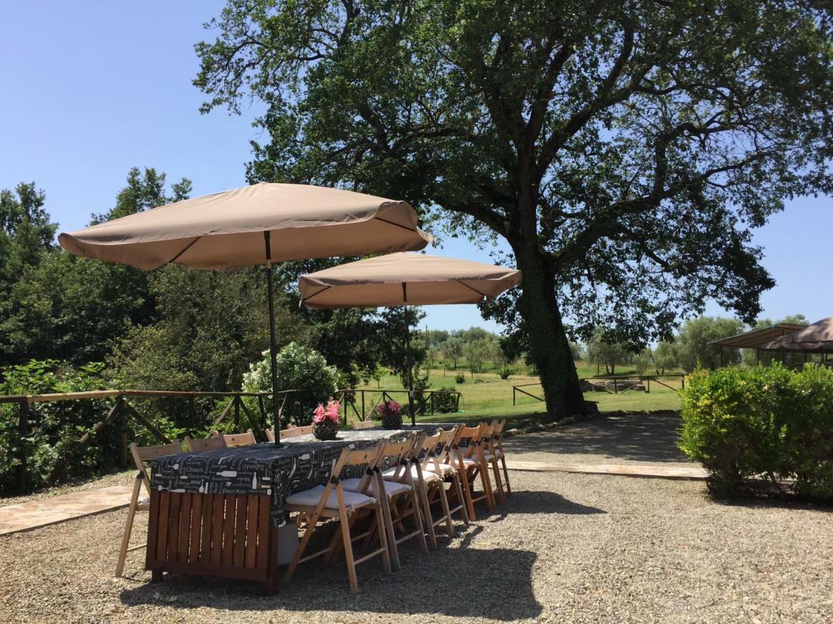 Agriturismo Pieve De Pitti Terricciola Exteriör bild